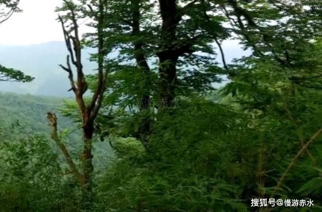最美的校园女生67
